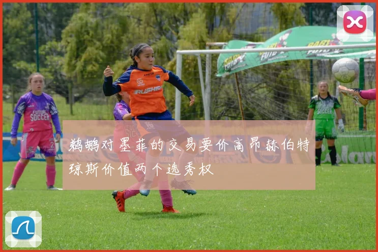 鹈鹕对墨菲的交易要价高昂赫伯特琼斯价值两个选秀权